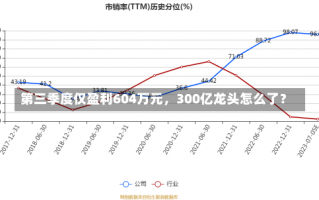 第三季度仅盈利604万元，300亿龙头怎么了？