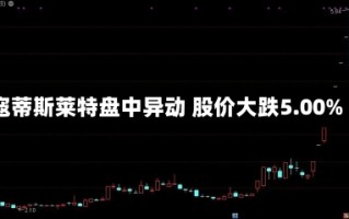 寇蒂斯莱特盘中异动 股价大跌5.00%