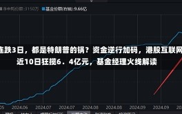 港股连跌3日，都是特朗普的锅？资金逆行加码，港股互联网ETF近10日狂揽6．4亿元，基金经理火线解读