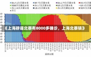 《上海辟谣北蔡有8000多确诊，上海北蔡镇》