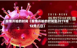 疫情开始的时间（疫情开始的时间是2019年12月几日）