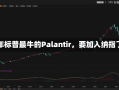 今年标普最牛的Palantir，要加入纳指了