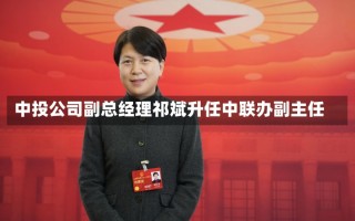 中投公司副总经理祁斌升任中联办副主任