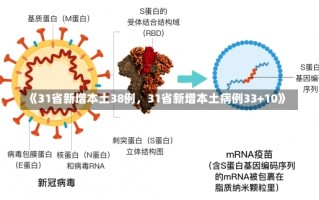 《31省新增本土38例，31省新增本土病例33+10》