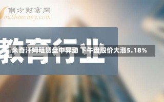 米奇汗姆租赁盘中异动 下午盘股价大涨5.18%