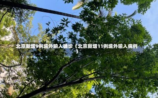 北京新增9例境外输入确诊（北京新增11例境外输入病例）