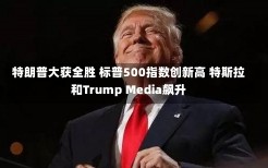 特朗普大获全胜 标普500指数创新高 特斯拉和Trump Media飙升