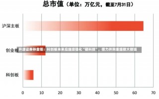 开源证券孙金钜：科创板未来应继续强化“硬科技”，借力并购重组做大做强