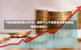 宁银消金被罚款20万元：提供个人不良信息未事先告知信息主体本人