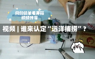 视频 | 谁来认定“远洋捕捞”？