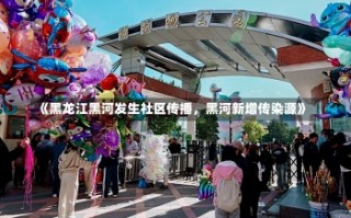 《黑龙江黑河发生社区传播，黑河新增传染源》