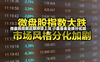 微盘股指数近期持续上涨 小盘基金业绩分化加大