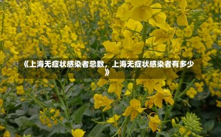 《上海无症状感染者总数，上海无症状感染者有多少》