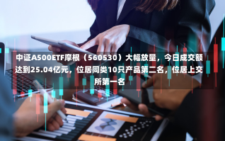 中证A500ETF摩根（560530）大幅放量，今日成交额达到25.04亿元，位居同类10只产品第二名，位居上交所第一名