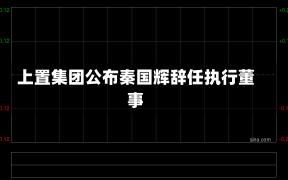 上置集团公布秦国辉辞任执行董事