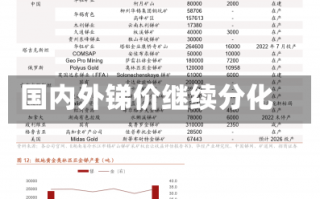 国内外锑价继续分化