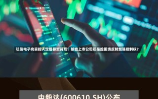 弘信电子向实控人定增募资背后：输血上市公司还是趁困境反转加强控制权？