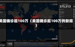 美国确诊超100万（美国确诊超100万例新闻）