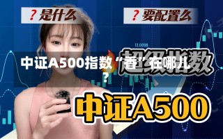 中证A500指数“香”在哪儿？