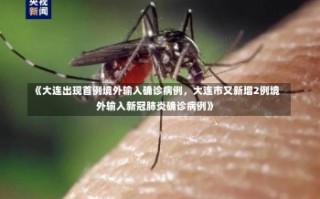 《大连出现首例境外输入确诊病例，大连市又新增2例境外输入新冠肺炎确诊病例》