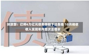 财政部：已将6万亿元债务限额下达各地 10月税收收入实现年内首次正增长