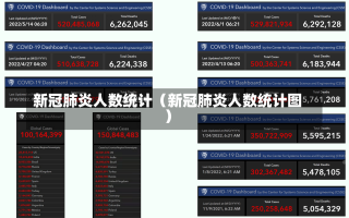 新冠肺炎人数统计（新冠肺炎人数统计图）