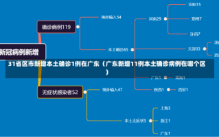 31省区市新增本土确诊1例在广东（广东新增11例本土确诊病例在哪个区）