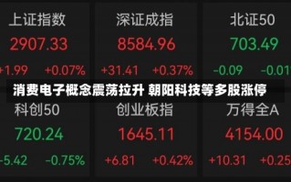消费电子概念震荡拉升 朝阳科技等多股涨停