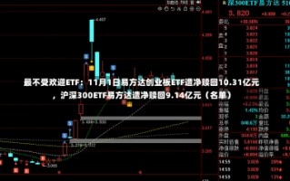 最不受欢迎ETF：11月1日易方达创业板ETF遭净赎回10.31亿元，沪深300ETF易方达遭净赎回9.14亿元（名单）