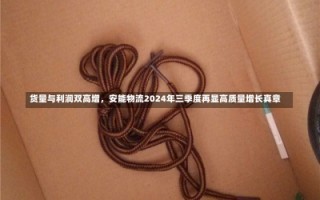 货量与利润双高增，安能物流2024年三季度再显高质量增长真章