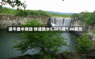 途牛盘中异动 快速跳水5.36%报1.06美元