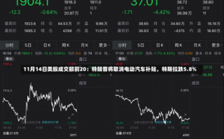 11月14日美股成交额前20：特朗普将取消电动汽车补贴，特斯拉跌5.8%