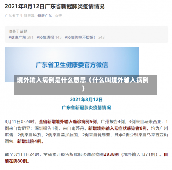 境外输入病例是什么意思（什么叫境外输入病例）-第2张图片-多讯网