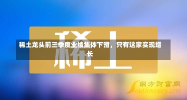 稀土龙头前三季度业绩集体下滑，只有这家实现增长-第2张图片-多讯网