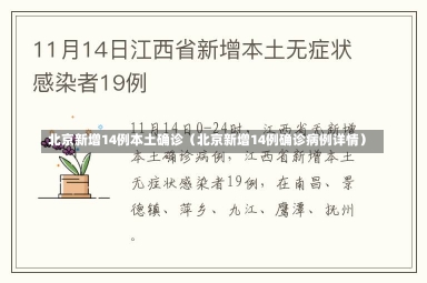 北京新增14例本土确诊（北京新增14例确诊病例详情）-第1张图片-多讯网