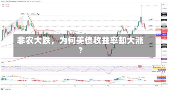 非农大跌，为何美债收益率却大涨？-第1张图片-多讯网