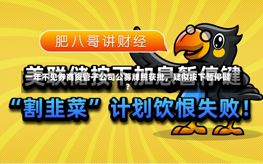 一年不见券商资管子公司公募牌照获批，疑似按下暂停键？-第1张图片-多讯网