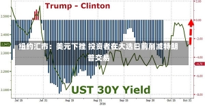纽约汇市：美元下挫 投资者在大选日前削减特朗普交易-第1张图片-多讯网