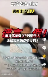 造谣北京确诊4例被拘（造谣北京确诊被行拘）-第2张图片-多讯网