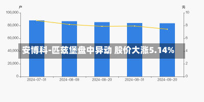 安博科-匹兹堡盘中异动 股价大涨5.14%-第1张图片-多讯网