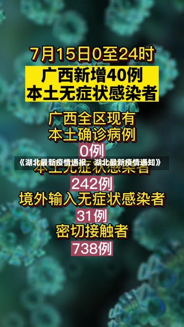 《湖北最新疫情通报，湖北最新疫情通知》-第1张图片-多讯网