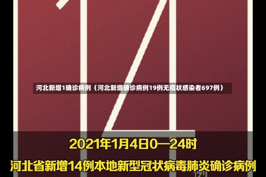 河北新增1确诊病例（河北新增确诊病例19例无症状感染者697例）-第2张图片-多讯网