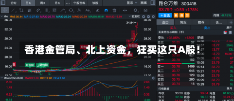 香港金管局、北上资金，狂买这只A股！-第1张图片-多讯网