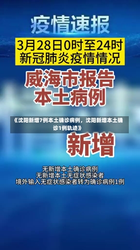 《沈阳新增7例本土确诊病例，沈阳新增本土确诊1例轨迹》-第2张图片-多讯网