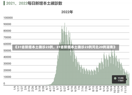 《31省新增本土确诊23例，31省新增本土确诊23例河北20例湖南》-第2张图片-多讯网