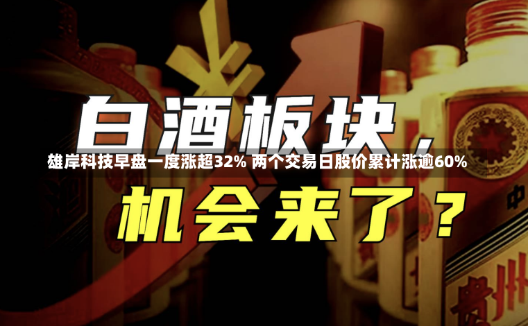 雄岸科技早盘一度涨超32% 两个交易日股价累计涨逾60%-第3张图片-多讯网