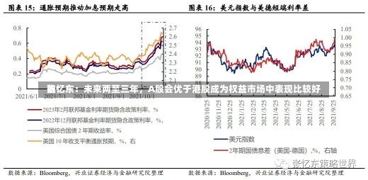 张忆东：未来两至三年，A股会优于港股成为权益市场中表现比较好
的-第1张图片-多讯网