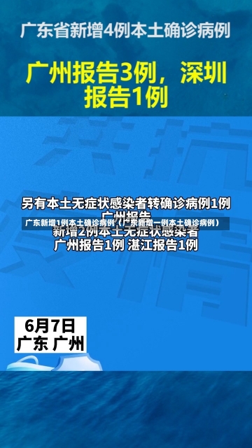 广东新增1例本土确诊病例（广东新增一例本土确诊病例）-第1张图片-多讯网