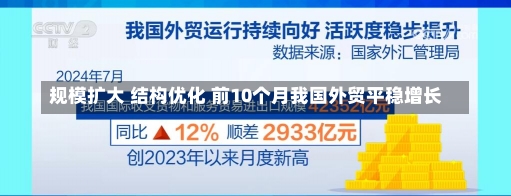 规模扩大 结构优化 前10个月我国外贸平稳增长-第1张图片-多讯网