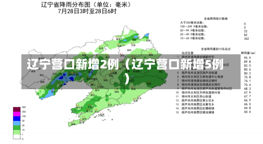 辽宁营口新增2例（辽宁营口新增5例）-第2张图片-多讯网